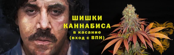 мескалин Новозыбков