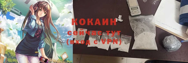 дмт Болохово