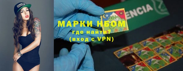 ПСИЛОЦИБИНОВЫЕ ГРИБЫ Болхов