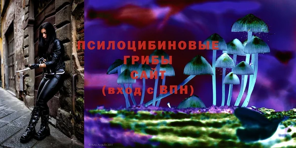 кокаин колумбия Бикин