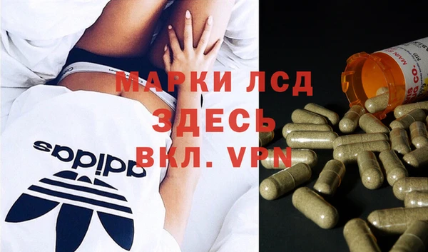 стафф Беслан